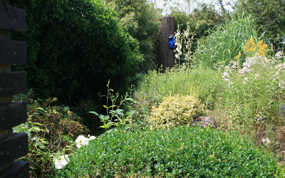 vorher: ueppige Stauden wo nun der neue Saunabereich steht, Gartenbau, Gartengestaltung, Wesel, Gilhaus