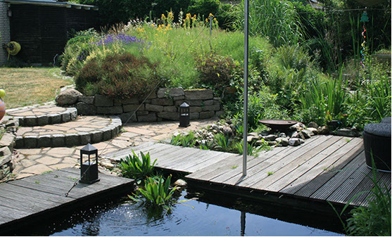 der Teich versteckt sich hinter dem Staudenhuegel, Gartenbau, Gartenplanung, Wesel