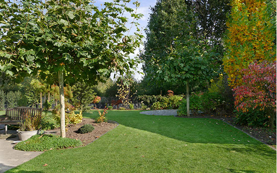 geschwungene organische Beetformen, Pflasterung, Gartenbau, Gartenplanung, Wesel