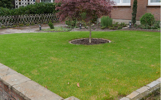 Vorgarten, Inselbeet, diagonal, Gartengestaltung, Wesel, Gilhaus